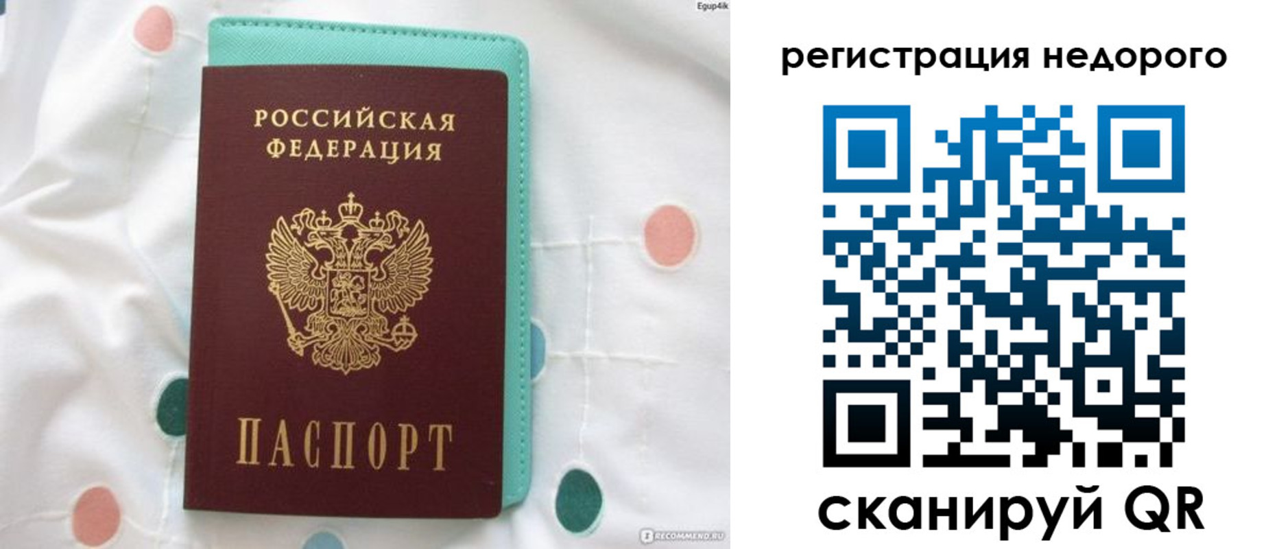 прописка для школы в Невеле